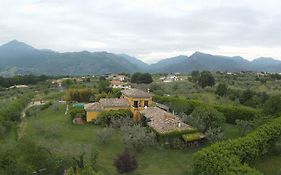 Le Ninfee